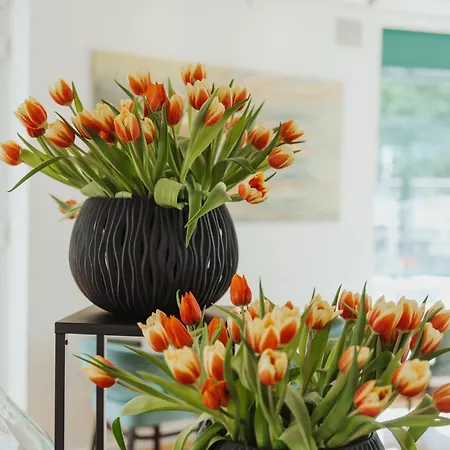 Parkhotel Iv Jahreszeiten 酒店 4*